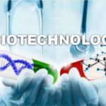 What is the Difference between B.Sc. Biotechnology and B. Tech Biotechnology?