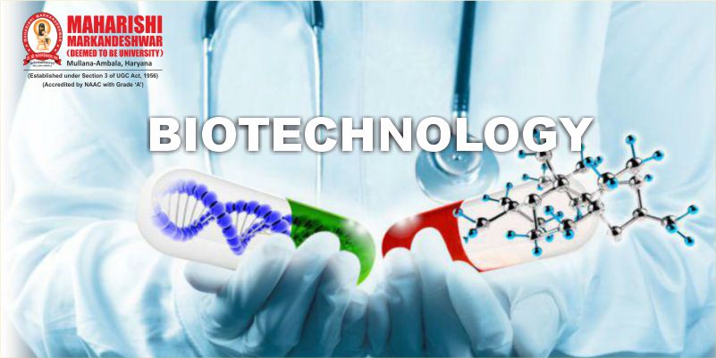 B.Sc. Biotechnology and B. Tech Biotechnology