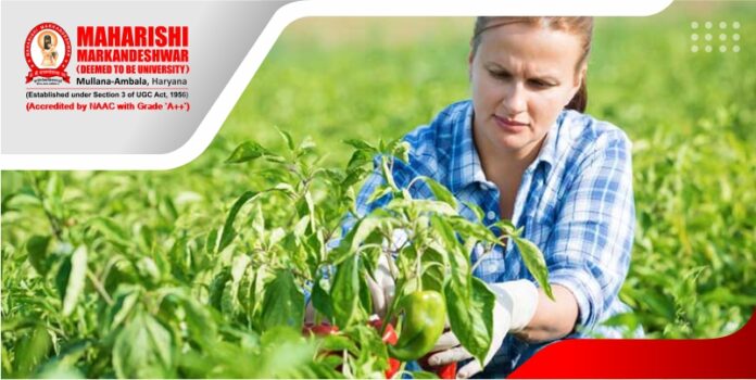 BSc Agriculture Private College in Haryana